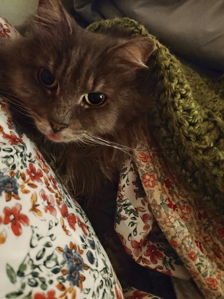 Zelda.