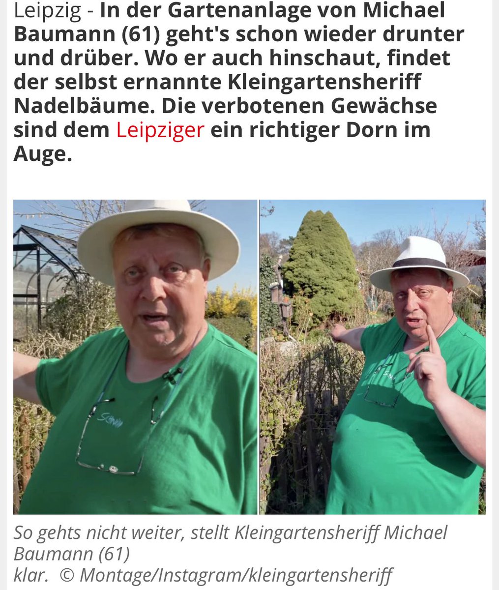 Rentner, die auf Dinge zeigen tweet media