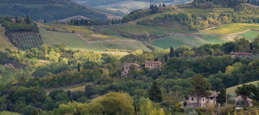 Percorsi botanici tra i colli Euganei: un viaggio nella natura incontaminata del Veneto affittibreviveneto.com/turismo-padova…
