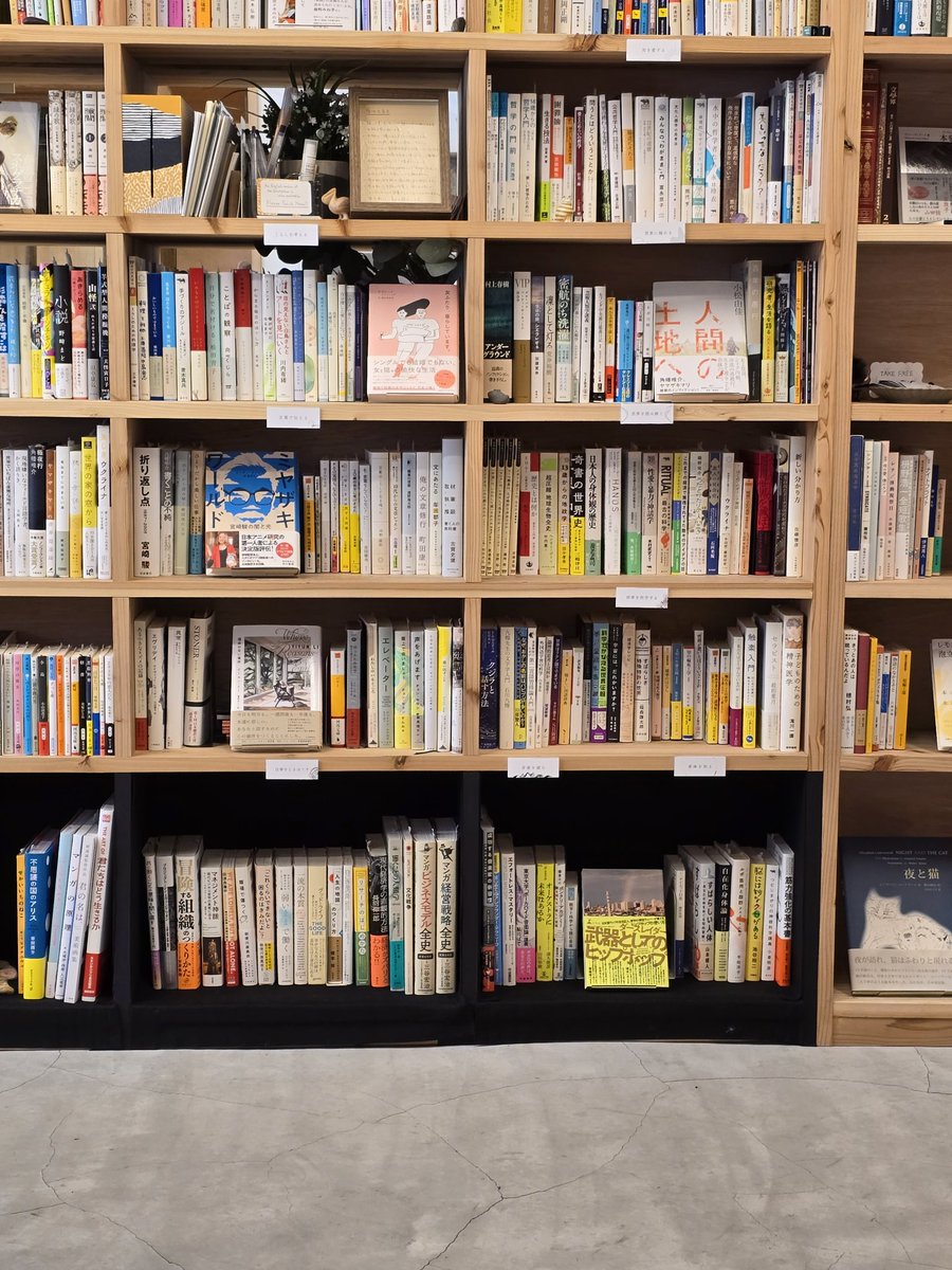 店番中。今月は数回入ります。

帳場から正面に見える「火星が出ている」さんの棚、最下段の枠が黒に。しゃがんで見たくなるような視覚効果を狙ってとのこと。なるほどなあ……

色んな実験が行われている本店・本屋の実験室です。 <a href="/honten_booklab/">本店・本屋の実験室</a>