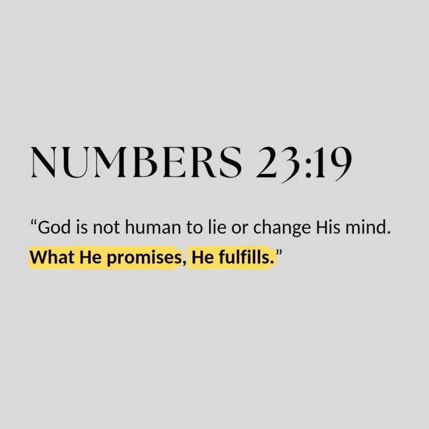 Bible 365 (@bible365_) on Twitter photo 