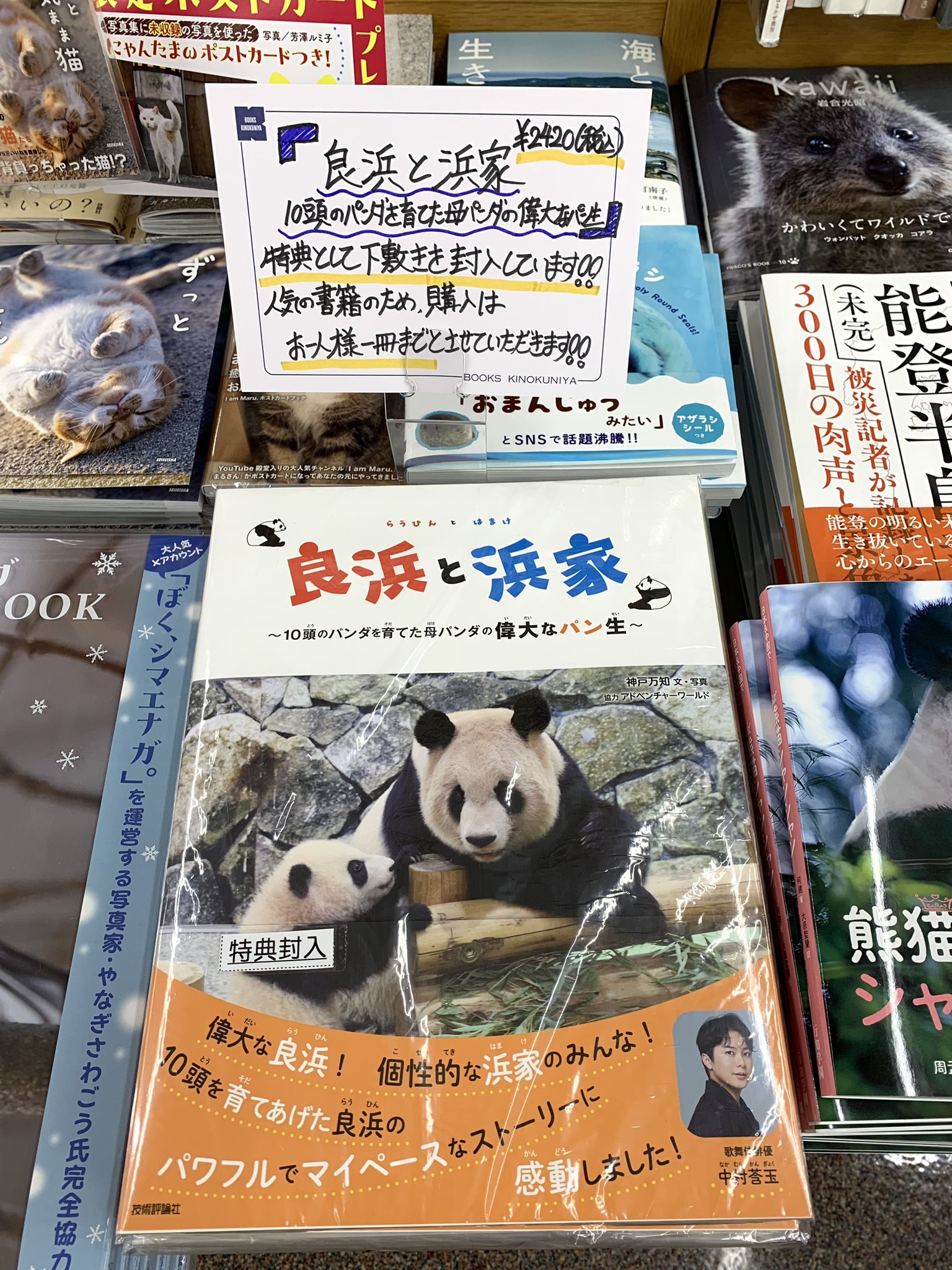 ヨドバシ.com - 良浜と浜家 ～10頭のパンダを育てた母パンダの