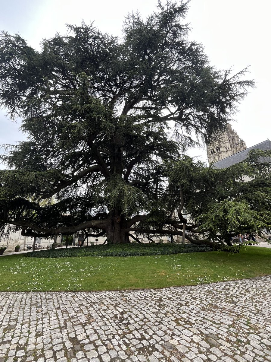 Nicolas Milovanovic tweet media