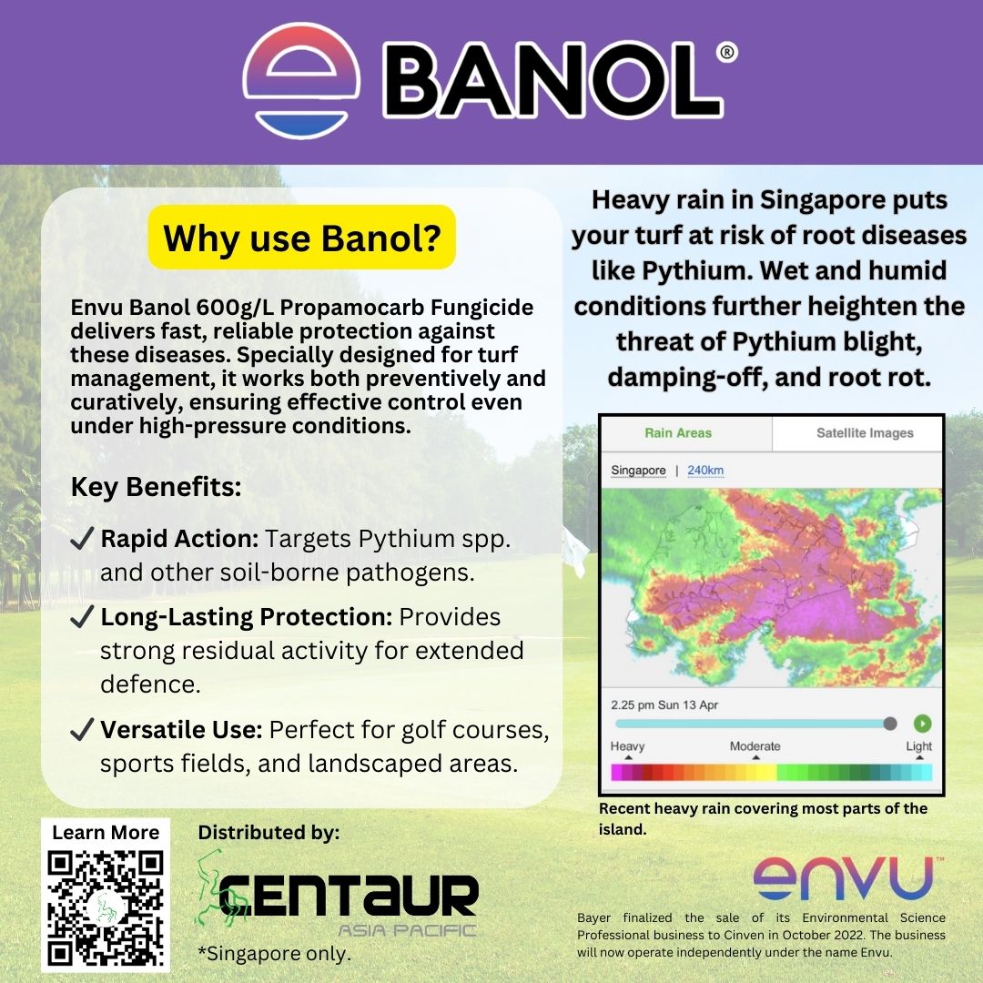 Keep your turf thriving through Singapore's wet and humid weather with ENVU Banol Turf and Ornamental Systemic Fungicide!

𝐋𝐞𝐚𝐫𝐧 𝐦𝐨𝐫𝐞: bit.ly/banol-a08c14

#TurfCare #BanolFungicide #Envu #TurfManagement #Fungicide #PythiumControl #CAPSG