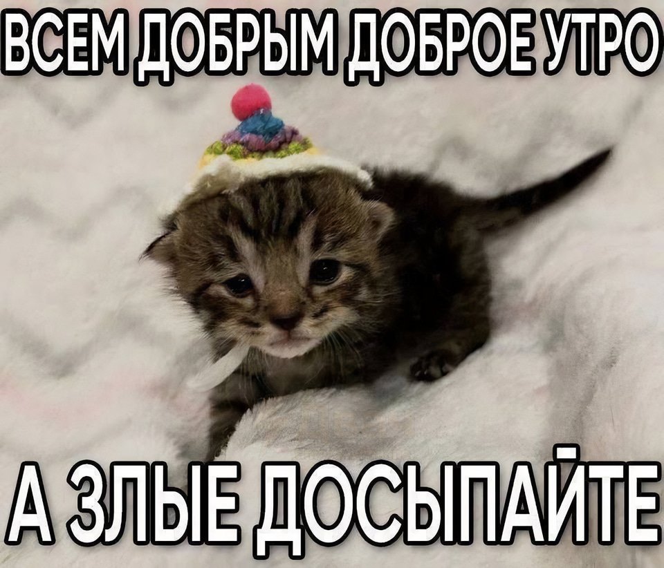 Двач (@ru2ch) on Twitter photo 