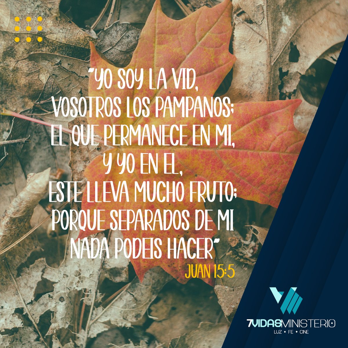 7VidasMC's tweet photo. “Yo soy la vid, vosotros los pámpanos; el que permanece en mí, y yo en él, éste lleva mucho fruto; porque separados de mí nada podéis hacer” (Juan 15:5).
#7vidasministerio https://t.co/oOqL7C3bbz