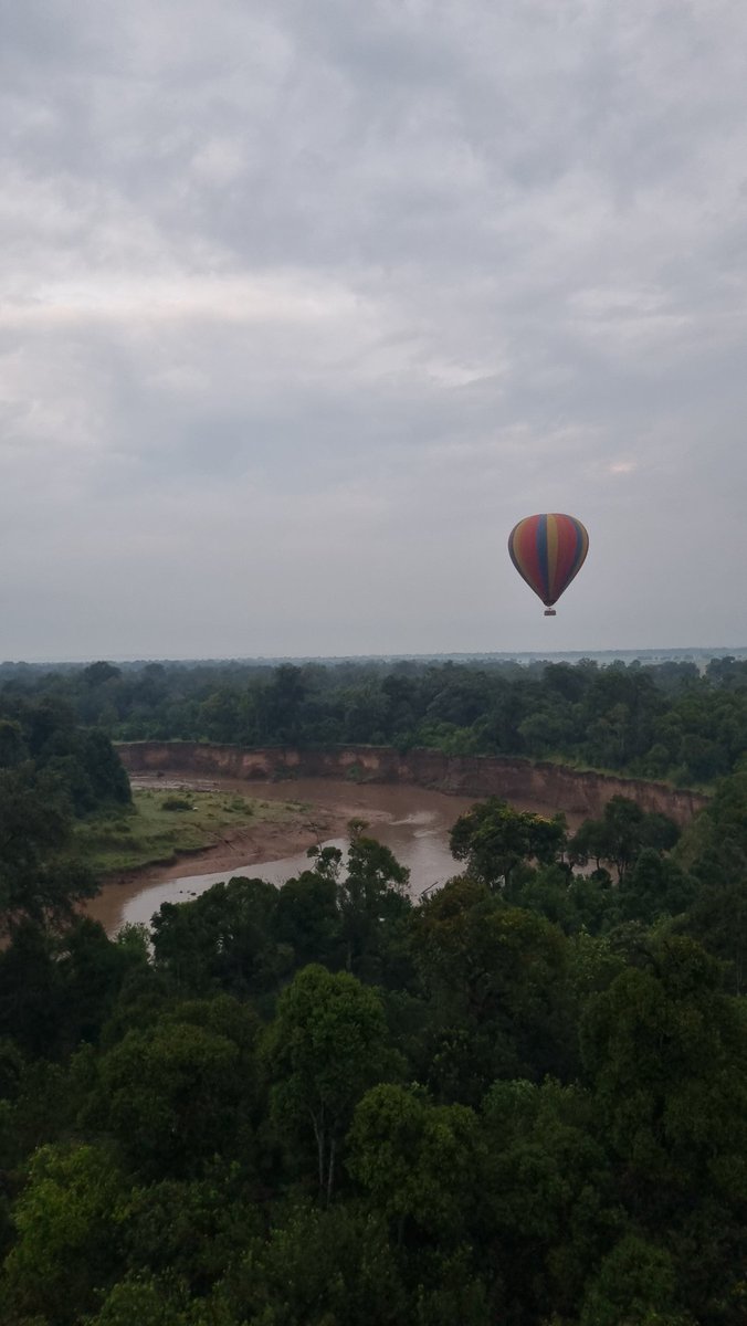 Ttranstravel's tweet photo. If the ETA system worked like our wildlife experience, we’d be a global leader. Sadly, we’re losing ground.
#FixKenyaETA https://t.co/qN7N3kk7mU