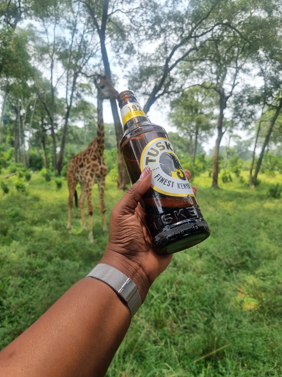 Ttranstravel's tweet photo. If the ETA system worked like our wildlife experience, we’d be a global leader. Sadly, we’re losing ground.
#FixKenyaETA https://t.co/qN7N3kk7mU