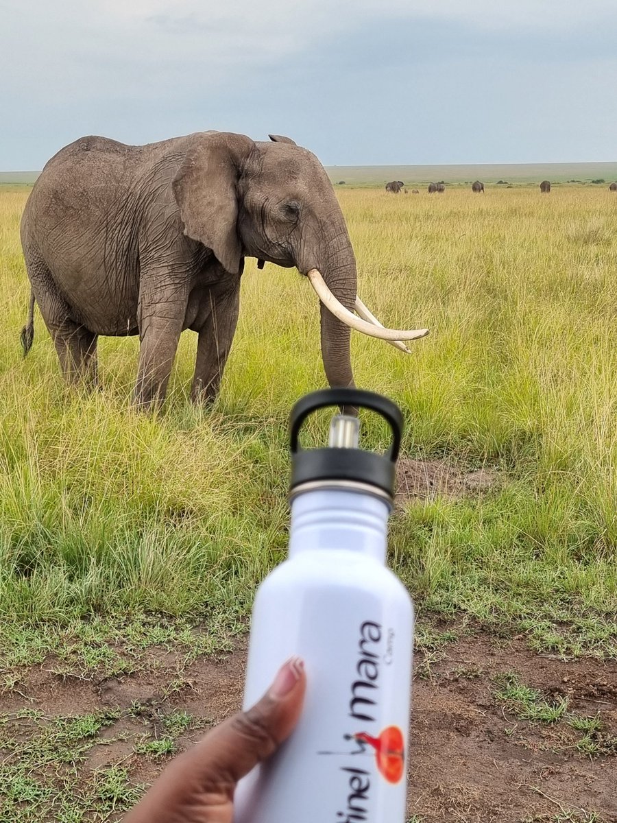 Ttranstravel's tweet photo. If the ETA system worked like our wildlife experience, we’d be a global leader. Sadly, we’re losing ground.
#FixKenyaETA https://t.co/qN7N3kk7mU