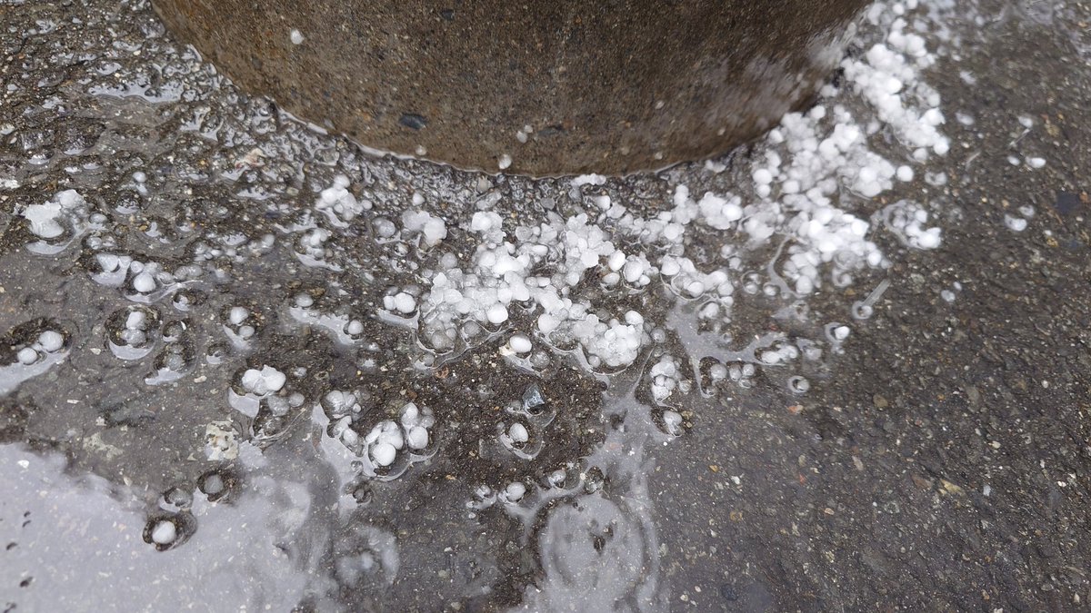 kely_tw's tweet photo. アラレかヒョウかどっちかわからないけど
4月なのに空から氷が落ちてきた
@大阪市

ちなみに、アラレとヒョウの違いは5mm以上かどうかの大きさの違いみたい

#イマソラ #ヒョウ #アラレ #氷 #天気急変 #局地的 #Xperia https://t.co/X6wTJSnvNd