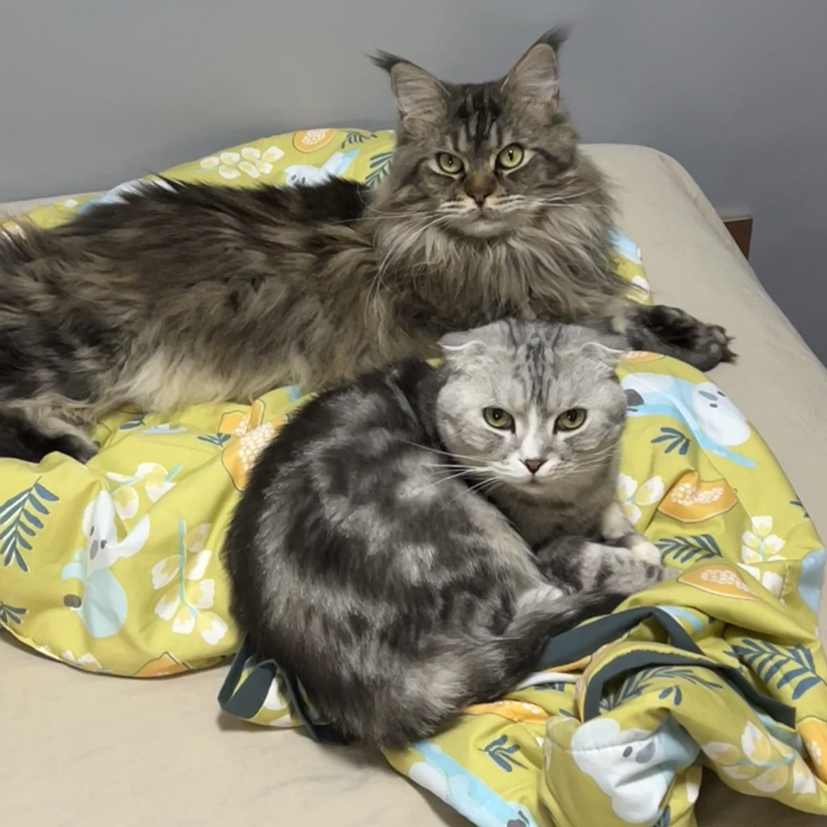 难得啊 赶紧合影