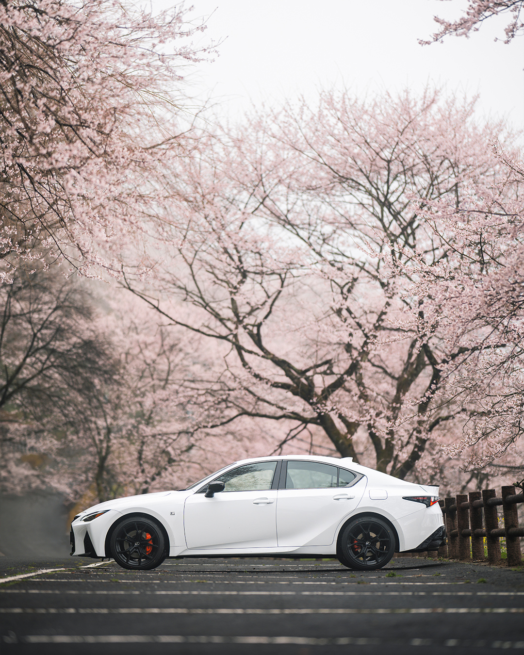 良好レクサス✨ LEXUS IS × 埠頭 owner→ @kai_pooh1202 #lexus #lexusis #is