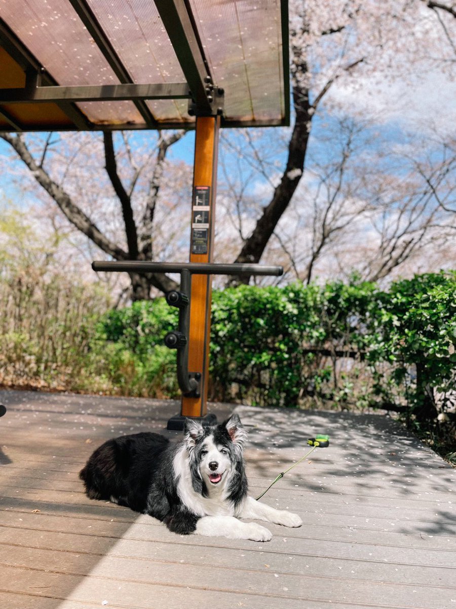 #kimhyunjoong
#HENECIA
#김현중  
#キム・ヒョンジュン
#金賢重