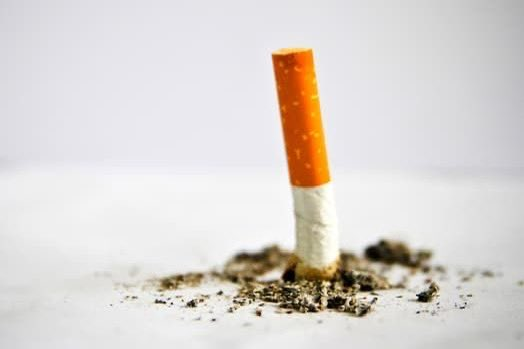 HarmonyHaven tweet media