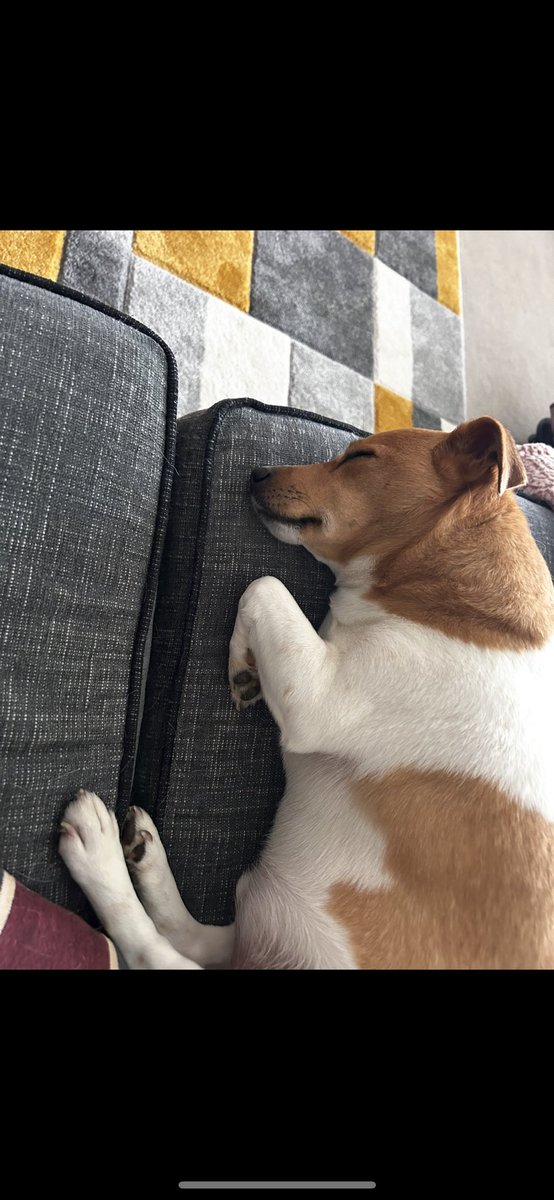 Ted1Inquisitive's tweet photo. Wake me up tomorrow when the rain ☔️ has stoped ! Happy Tuesday everyone 🥰🥰 https://t.co/cGQeqqHSGm