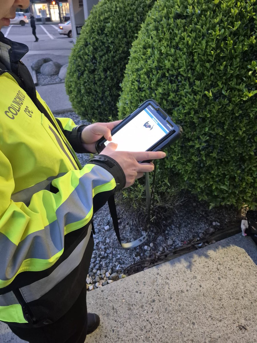 CollingwoodcpcC's tweet photo. 1/2
@CollingwoodCPC 
4th #Patrol for Monday April 14th was dispatched at our #MountPleasant
#PBCPC.
#Volunteers Mason,
Kyle &amp; Eliot geared up &amp; checked the
#MountPleasant
#Community for reportable issues.
They patrolled extensively &amp; dealt w/ issues found while on #footpatrol. https://t.co/nJSBZpe5Cw