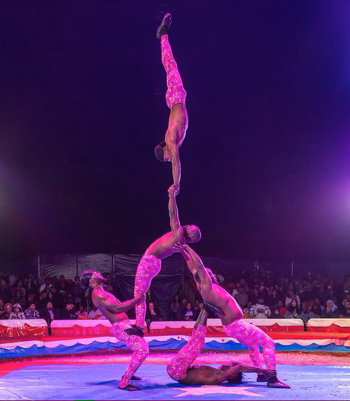 mclarenscircus's tweet photo. Following some Sold Out shows in #Milnerton @mclarenscircus Popular Show Comes to #Wynberg this week until Monday 21 Aprilπͺππ¦πͺπ΄π©π©π€‘π₯³β€οΈ
Coming Soon to #Bellville #CapeTown #WesternCape Eskom #Easter2025 #MiwayEasterDrive #SBLove
Buy Tickets Online: https://t.co/Y5XPaa1RcI https://t.co/m1SM6Yinq5