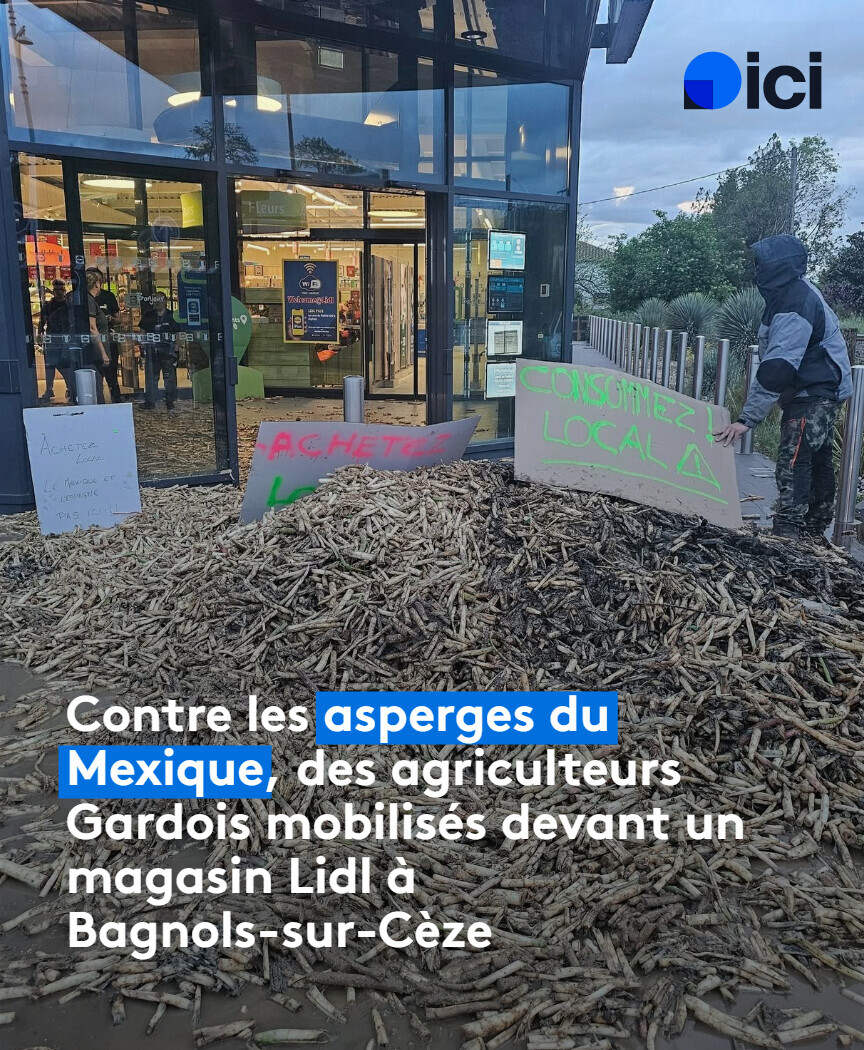 "Pas d'asperges du Mexique, pas de fraises d'Espagne". A l'initiative de la FDSEA, des agriculteurs du Gard se sont mobilisés ce mardi matin devant le magasin Lidl de Bagnols-sur-Cèze.