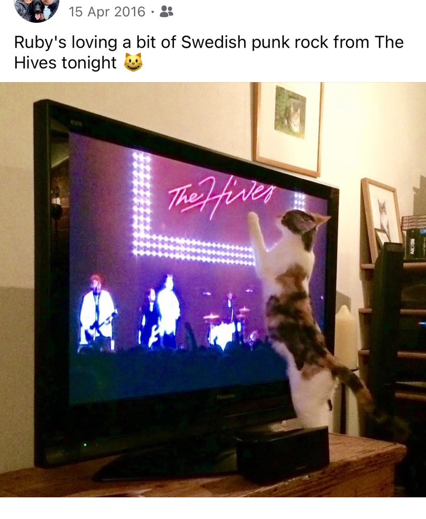 Jacky Marples tweet media