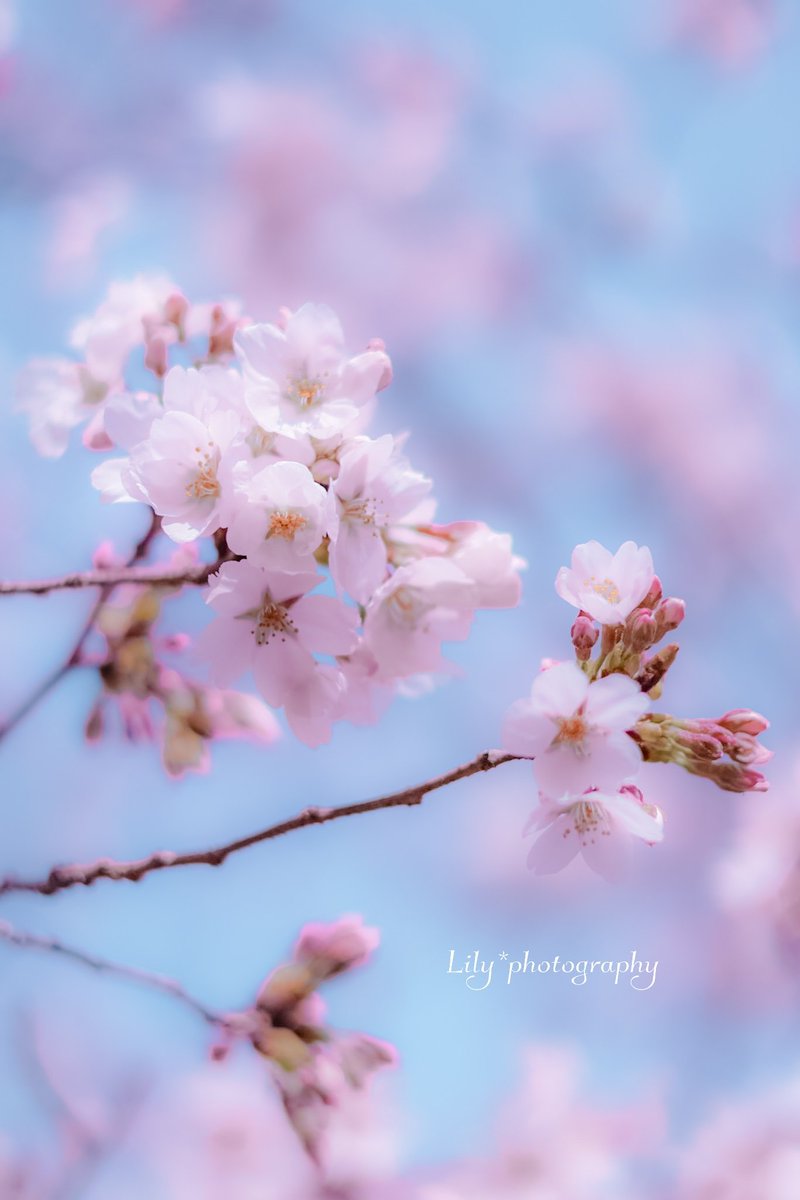 ずっとね、待ってたの。