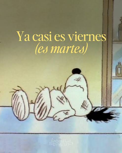 En Júpiter (@en_jupiter_) on Twitter photo 