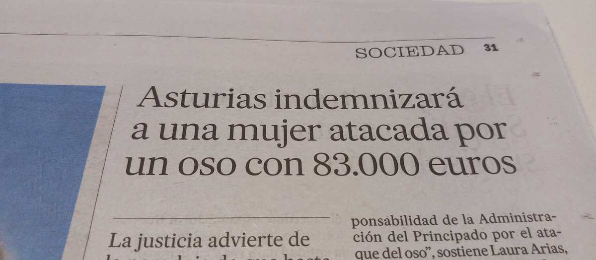 Conclusión: el oso llevaba encima 83.000 €.