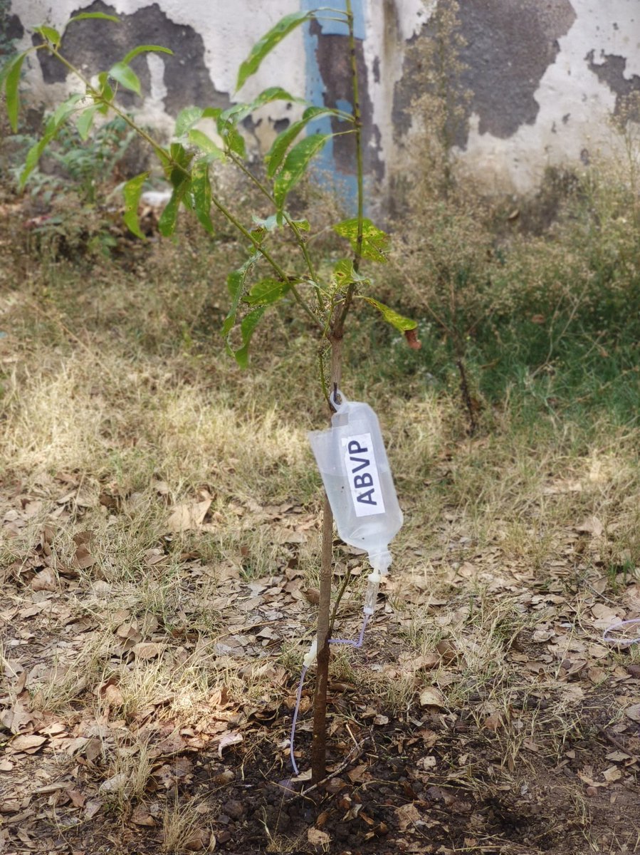 विदिशा जिले की कुरवाई इकाई द्वारा डॉ.भीमराव अंबेडकर जी की जयंती पर #SFD के माध्यम से पौधारोपण किया और में पौधों को जीवित रखने के लिए ड्रिप इरीगेशन सिस्टम लगाया गया जिसमें "Best from waste" के अंतर्गत मेडिकल की यूज्ड NS बोतल का उपयोग किया गया जिससे पौधों को निरंतर पानी मिलता रहे।