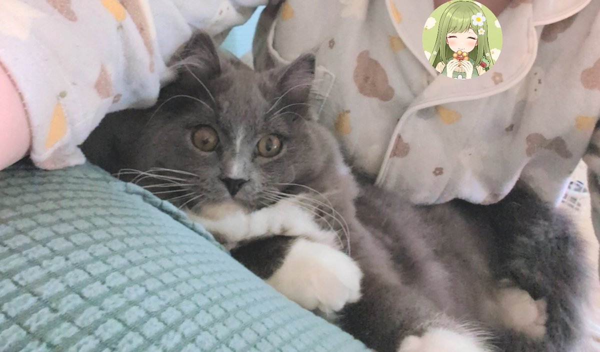 まる_frog🐸来週嵐に会える…😭 tweet media