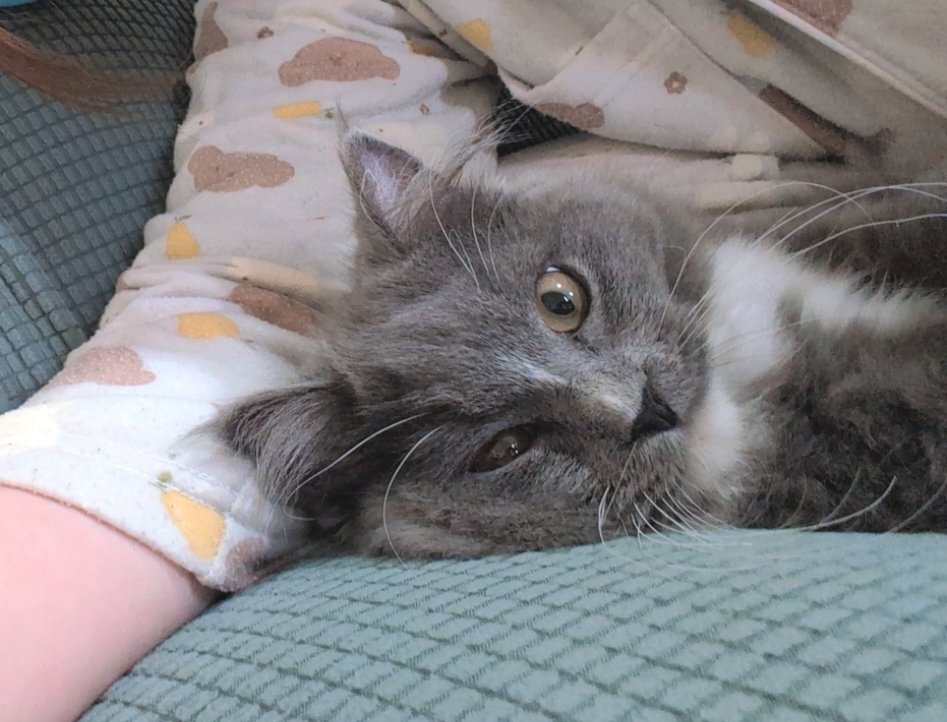 まる_frog🐸来週嵐に会える…😭 tweet media