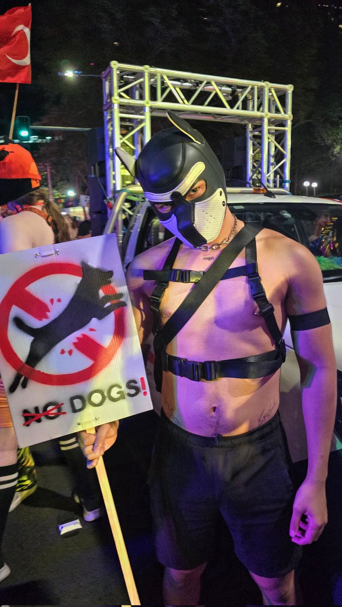 StarboyPup's tweet photo. Mardi gras 25

#pupplay https://t.co/I3Huxjg6x0