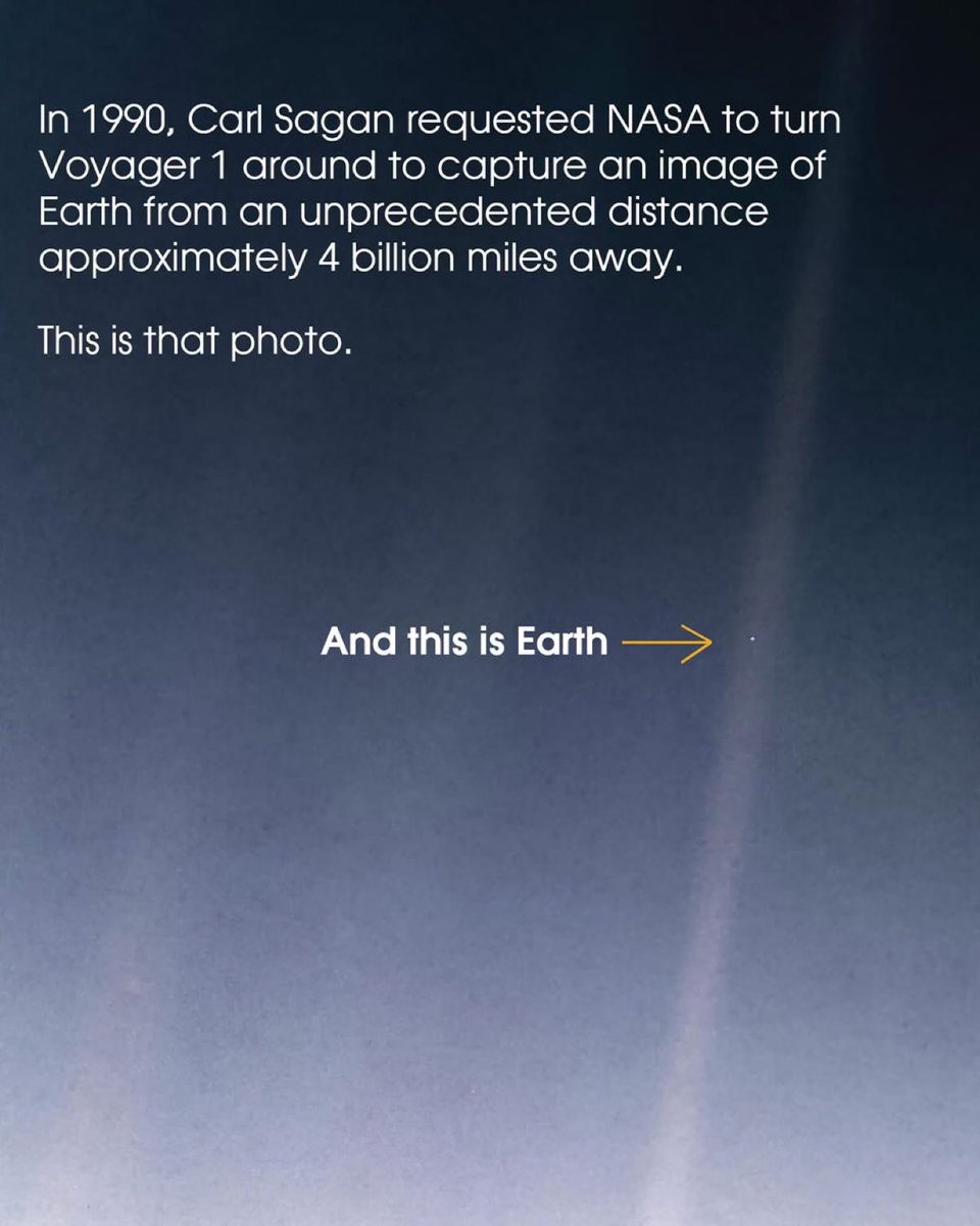 Perspective