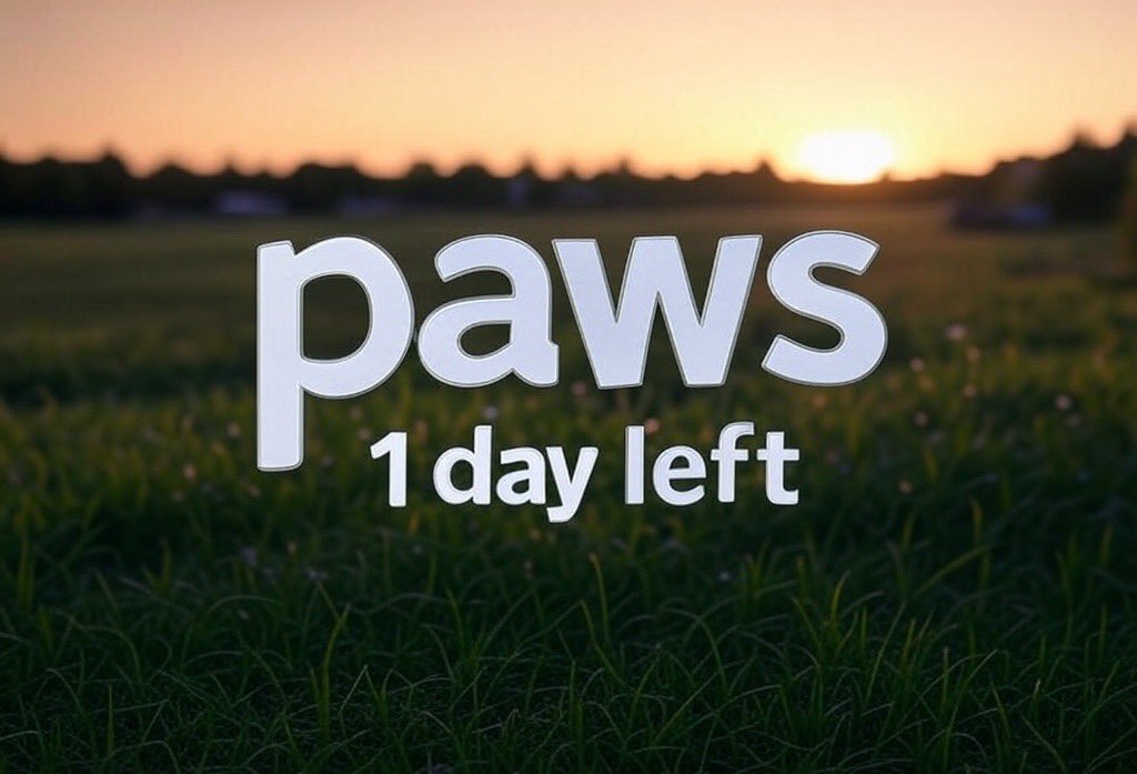 $PAWS LISTING in 24hrs 💰💧

...who else can't wait to receive PAWS on CEX? 👀

$0.2 or nothing 🐾