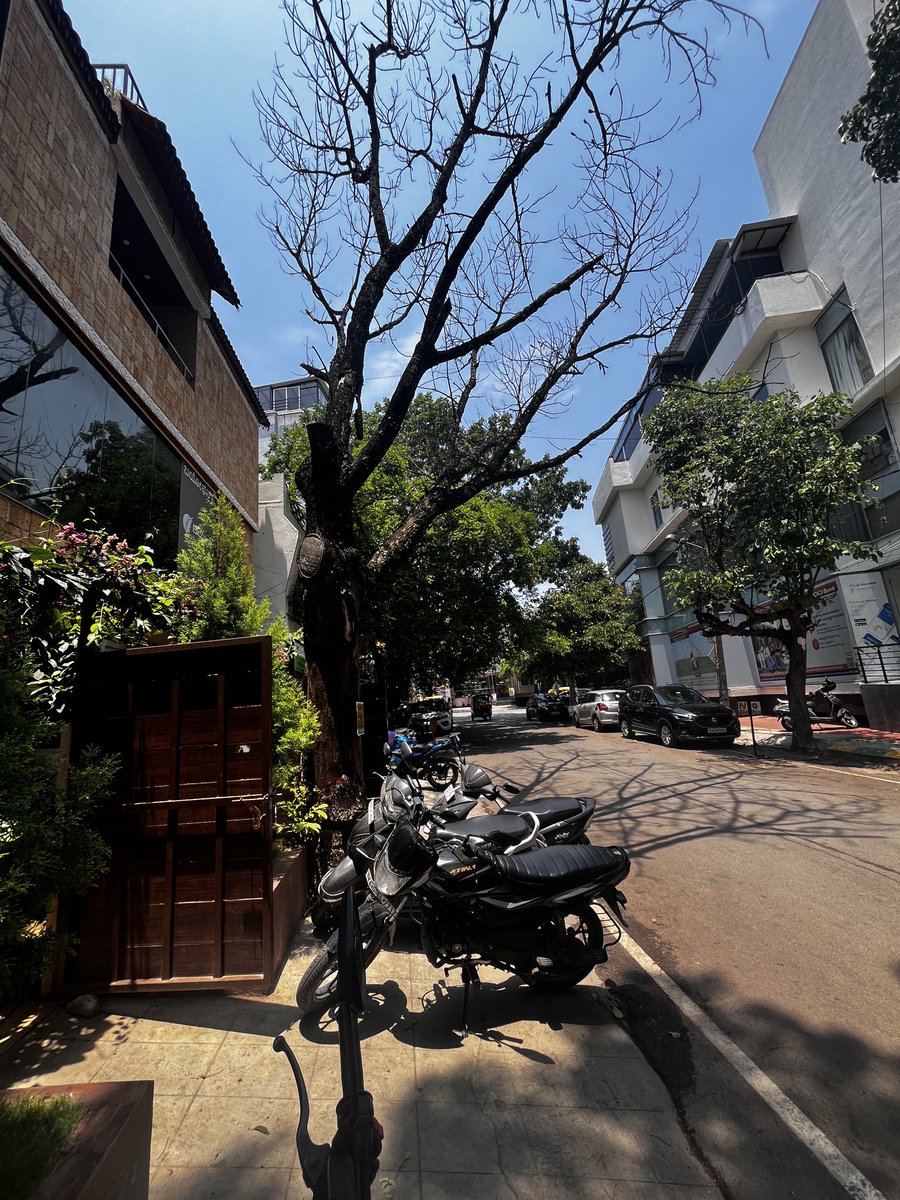 Sir, This is tree is completely dry and can fall any time. BBMP may like to get the tree cut immediately to avoid injuries /loss of lives in case it falls suddenly. Biofern Life Sciences, near ICICI Bank, Kalyan Nagar, HEBR Layout. ⁦@BBMPCOMM⁩ ⁦@BBMPofficial⁩