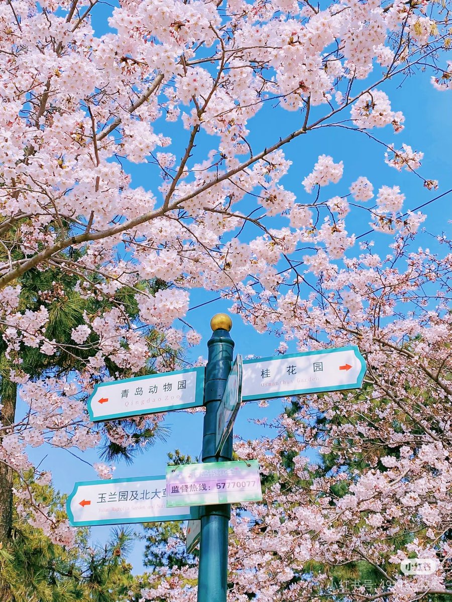 youyou87564's tweet photo. 接下来，是这样的 https://t.co/xPjK9nj96v