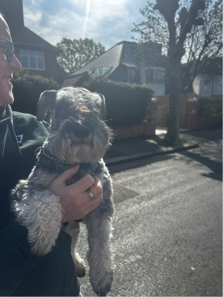 We saved a dog whilst surveying a site in Wimbledon: a happy ending to #Oggisgreatescape