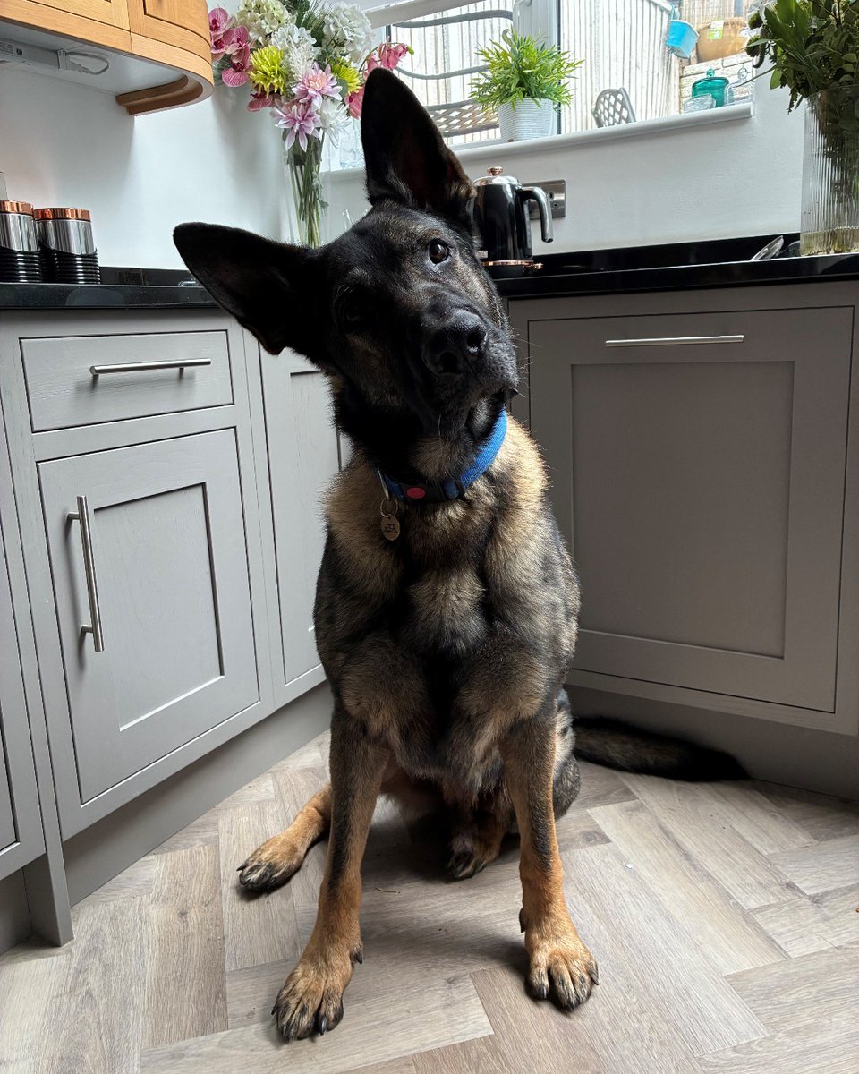 Kent Police Museum tweet media