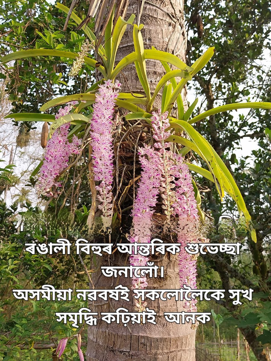 সকলোকে ৰঙালী বিহু তথা অসমীয়া নৱবৰ্ষৰ শুভেচ্ছা জ্ঞাপন কৰিলোঁ।