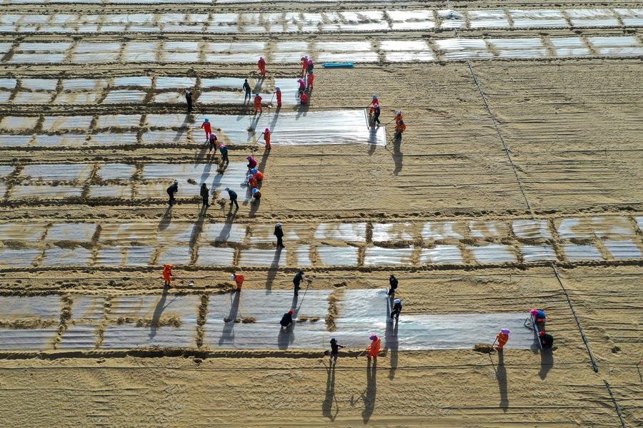 wheels_china's tweet photo. China has kicked off the Three-North Shelterbelt #ForestProgram, the world's largest afforestation program, to tackle #desertification in northwest, north and northeast #China.
中国启动世界上最大的造林项目——#三北防护林工程, 以治理中国西北、华北和东北地区的#荒漠化。 https://t.co/VBpNBNvEzN