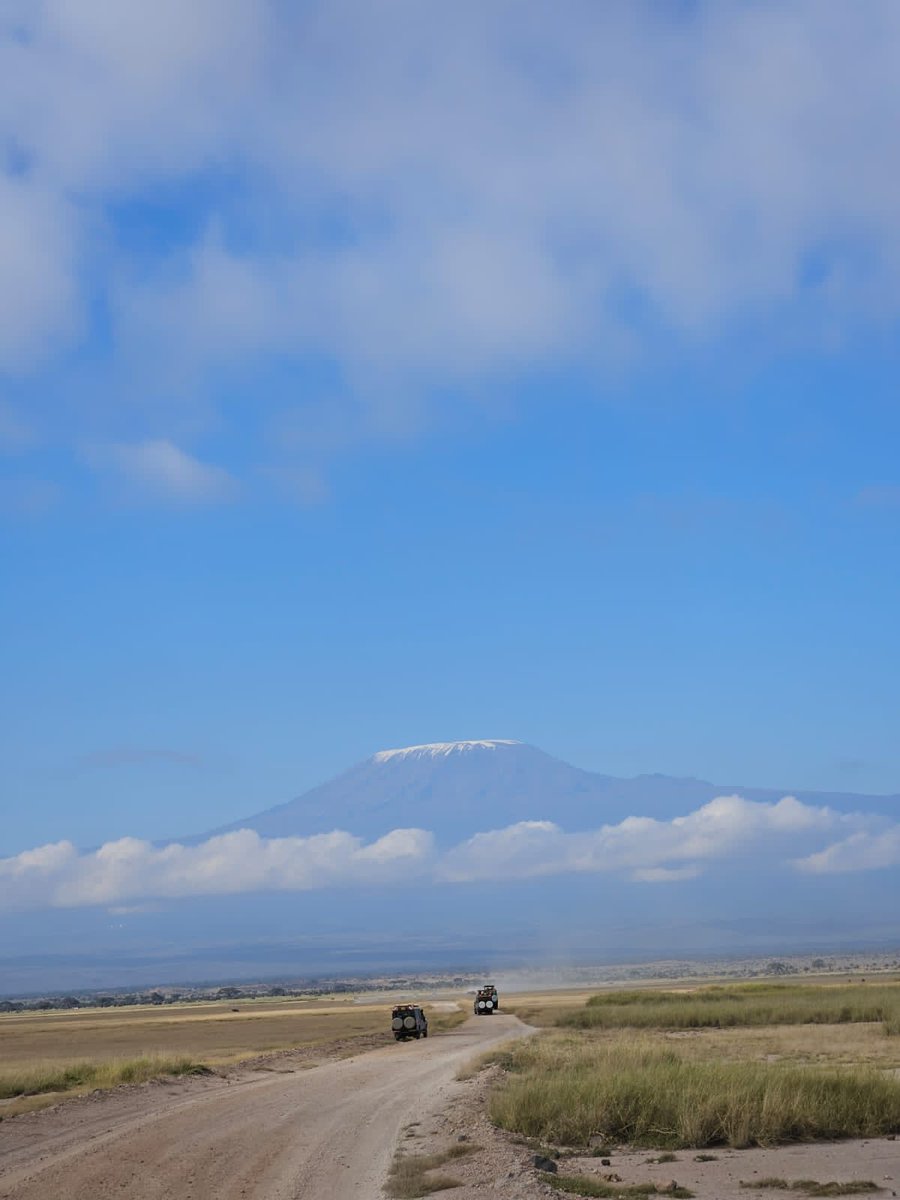 Miss_Pamzi Safaris tweet media