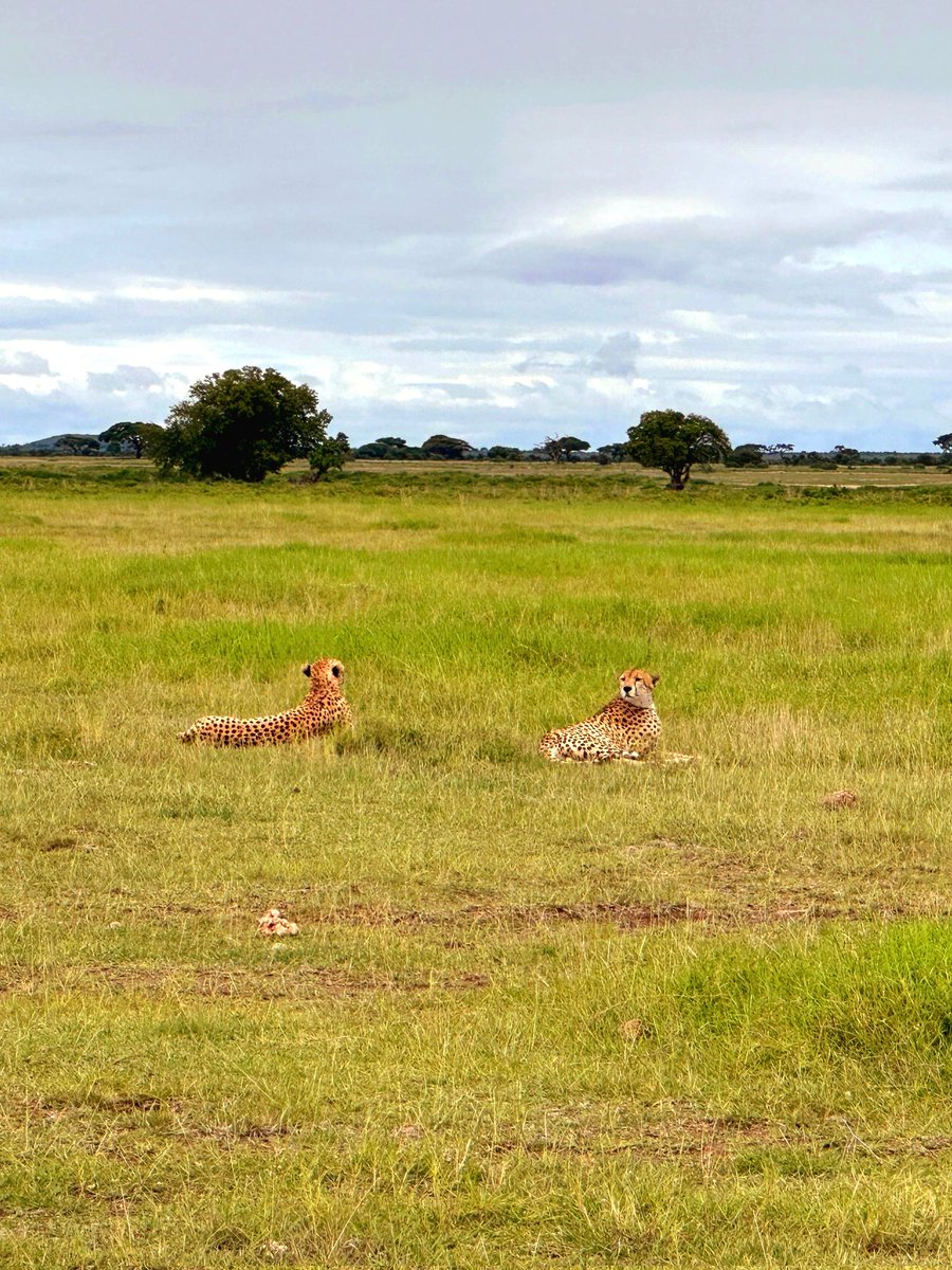 Miss_Pamzi Safaris tweet media