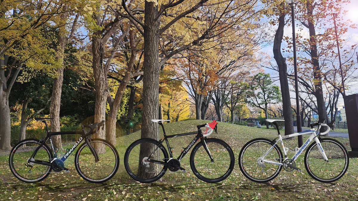 jollyboytwitte's tweet photo. マイロードバイクス by 3DCG。
#メリダ
#ライド80
#ウィリエールトリエスティーナ
#モンテグラッパクアトロ
#ピナレロ
#ラザ
#merida
#ride
#pinarello
#razha
#wiliertriestina
#montegrappaquattro
#3DCG
#LightWave3D https://t.co/ZyM2xJFIWH