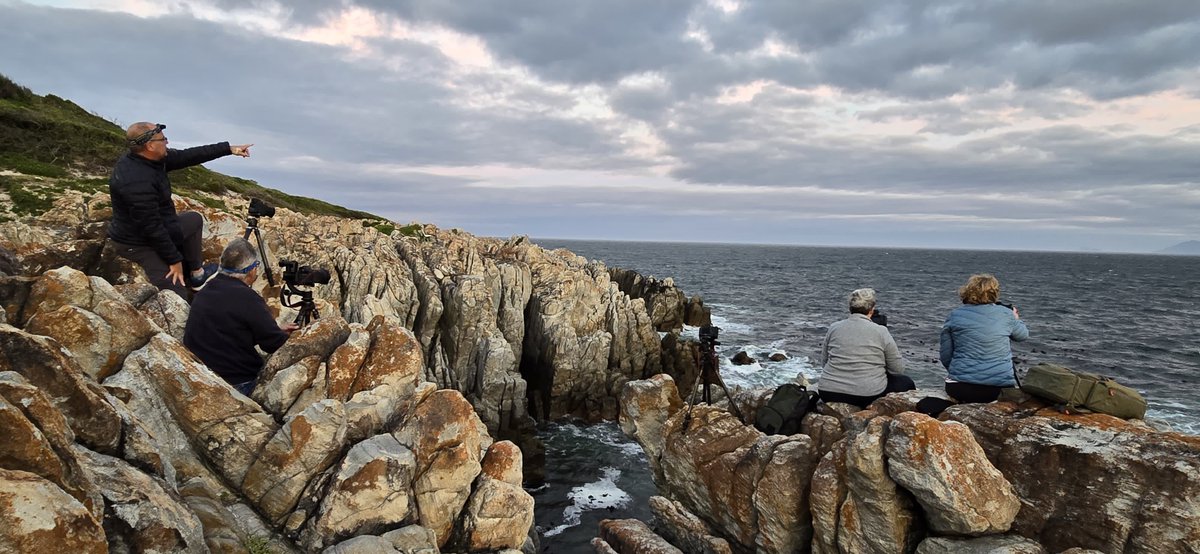 outdoorgallery_'s tweet photo. Last weekend, we kicked off our De Kelders Landscape Photographic Workshop. Set in stunning De Kelders, Gansbaai, with breathtaking coastal views &amp; dramatic cliffs. 🌄

Book Next Workshop 👉 https://t.co/124DkcOwxU

#DeKelders #LandscapePhotography #Photography #NaturePhotography https://t.co/1QSrWNQ91E