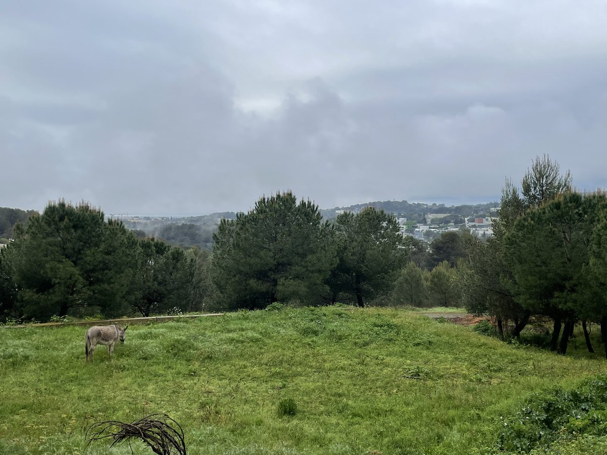 disruptivedean's tweet photo. Rather damp morning in Sophia Antipolis for @telcoforge @EURECOM #6Gforge
Yes, this is the South of France, and that is the Mediterranean in the far distance… https://t.co/Xlhl6fvZGX