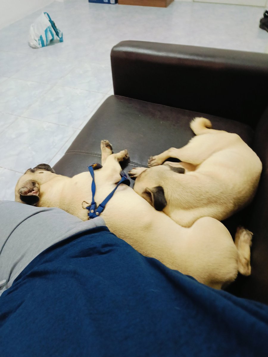 อิจฉา คนได้เยสโดยไม่ต้องเสียเงิน อิจฉาคนมีเมีย ที่ได้เยสเมียทุกวัน