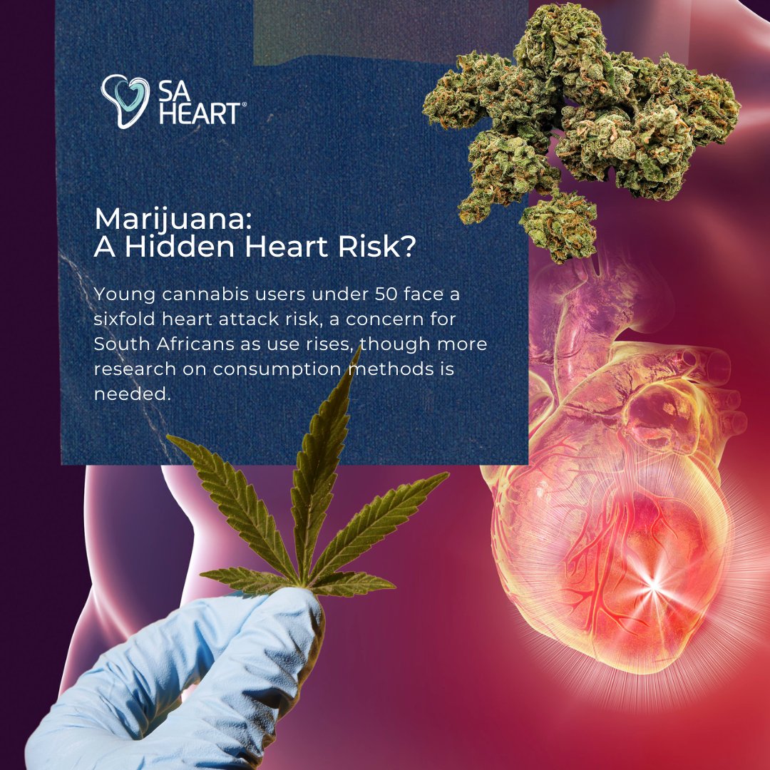Young marijuana users under 50 face a 6x higher heart attack risk, 4x stroke risk, and 2x heart failure risk, a study of 4.6M shows—SA Heart calls for caution in SA.
