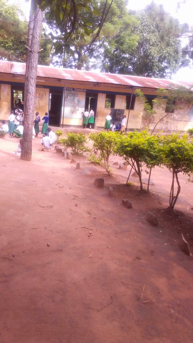 lecturer (@mtaalumaa) on Twitter photo Kazini kumepooza kweli ๐.,Niko na Drs la VII. tu..<a href="/Adventure_36/">Adventure-360</a> <a href="/Bwanashilingi/">Shilingi</a> Kazini kumepooza kweli ๐.,Niko na Drs la VII. tu..<a href="/Adventure_36/">Adventure-360</a> <a href="/Bwanashilingi/">Shilingi</a>