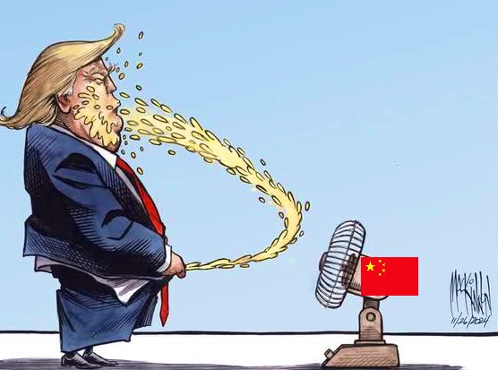 Mbali Mashinini tweet media