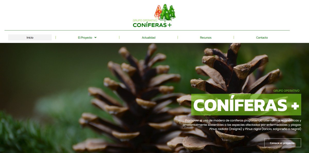 Fundación CETEMAS tweet media