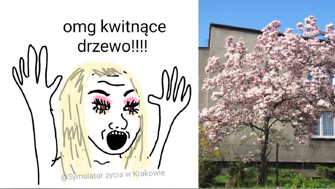Mikołaj Murczkiewicz tweet media