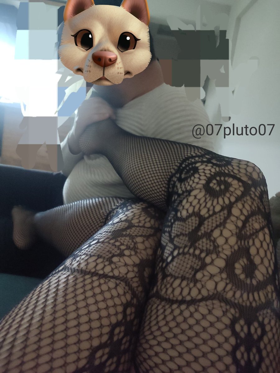 07Pluto07's tweet photo. 🐶🫶🌷 https://t.co/oWLmNKYZZK